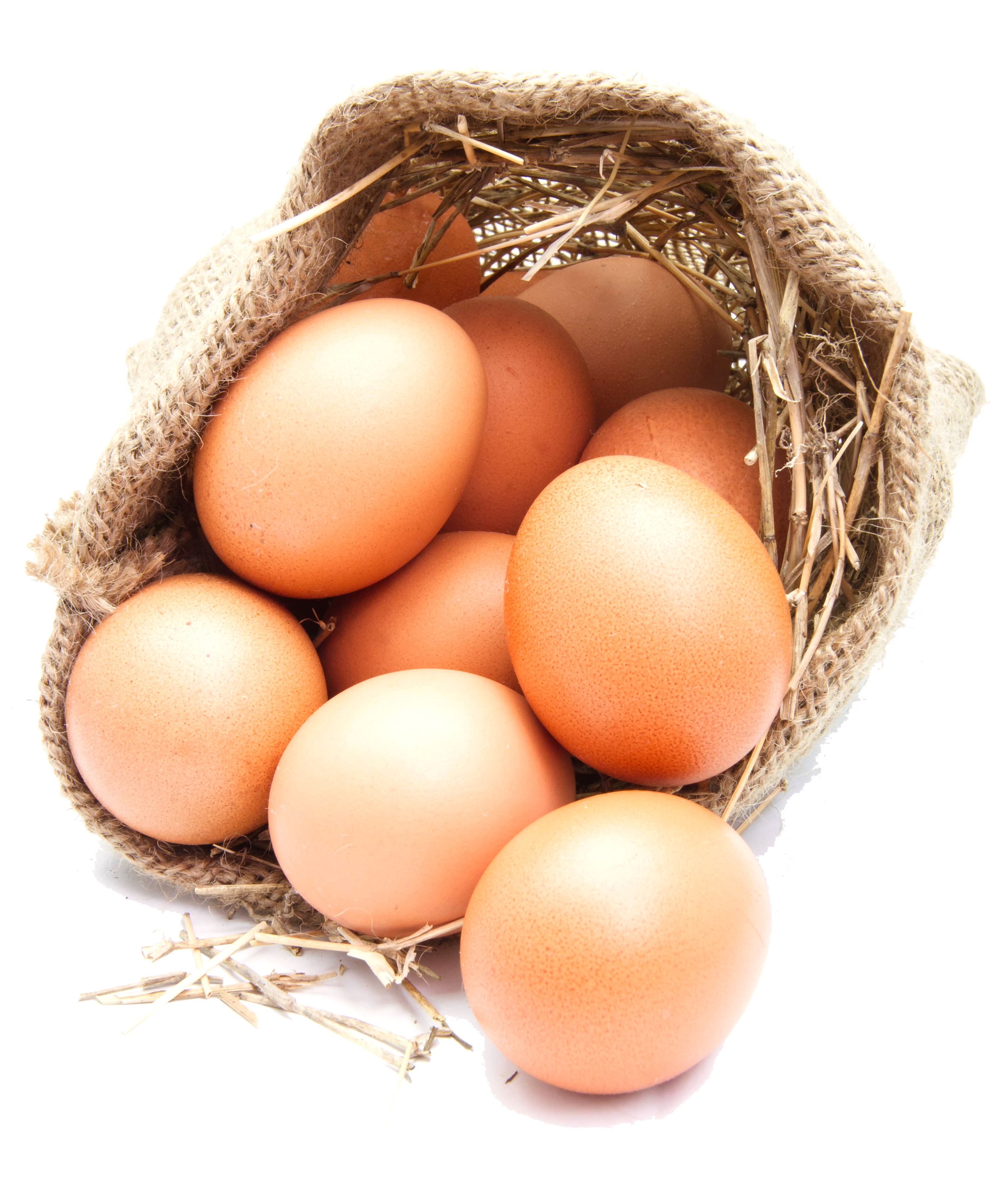 pngegg (1)